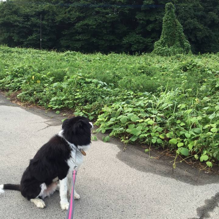 317bffc8 5ff5 4683 ba29 341611698618 1532294151208