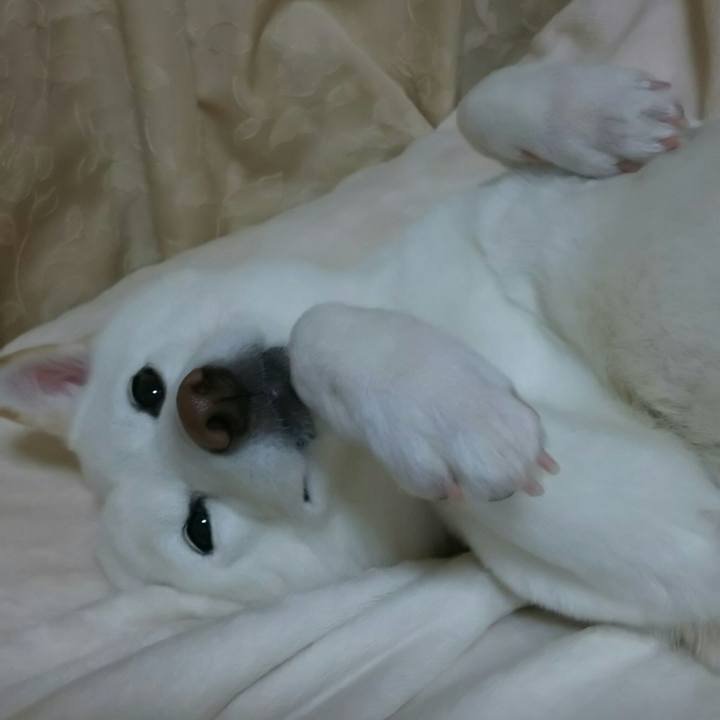 317c2c3c 0ed5 41d5 897c 336263410c4b 1589805905003