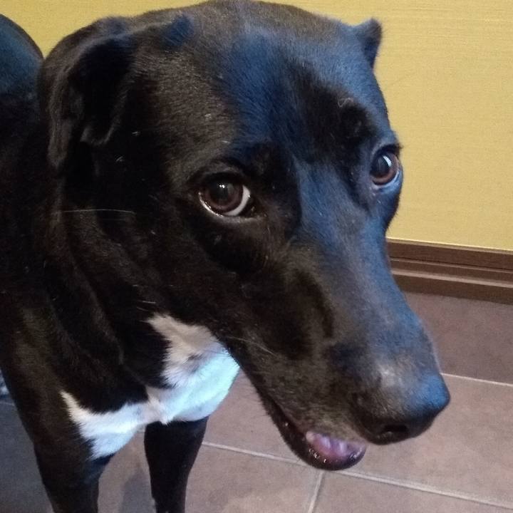 317c3d08 2c55 43d7 9d55 5c7e27293c2d 1597142170858