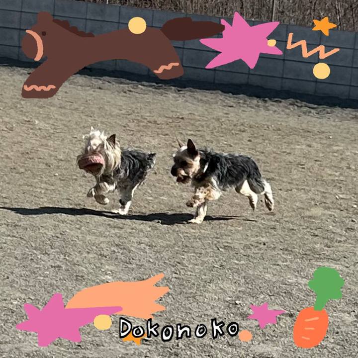 317c64a1 7bad 4dc7 ae72 c51b6d53c8e5 1771830401647