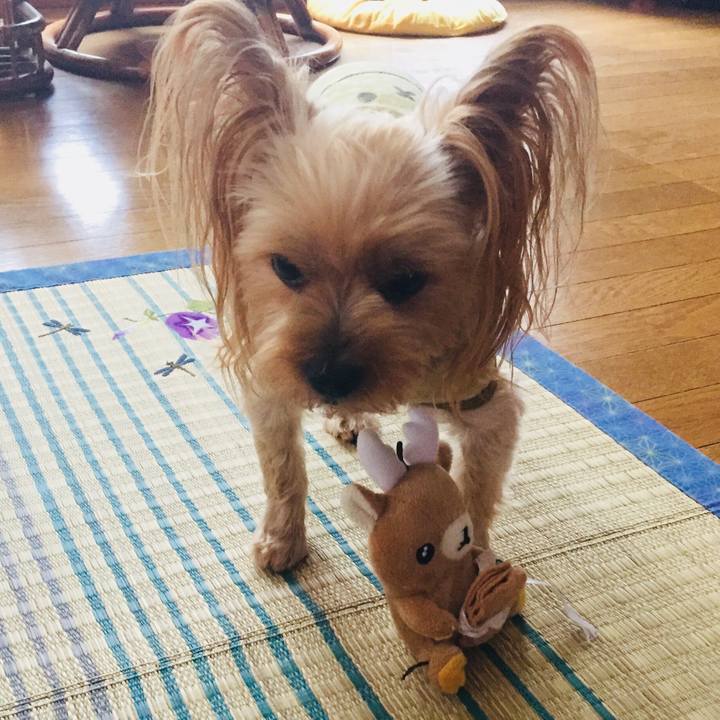 317c6895 9c55 4273 88bc f97a8673f0ff 1537615939147