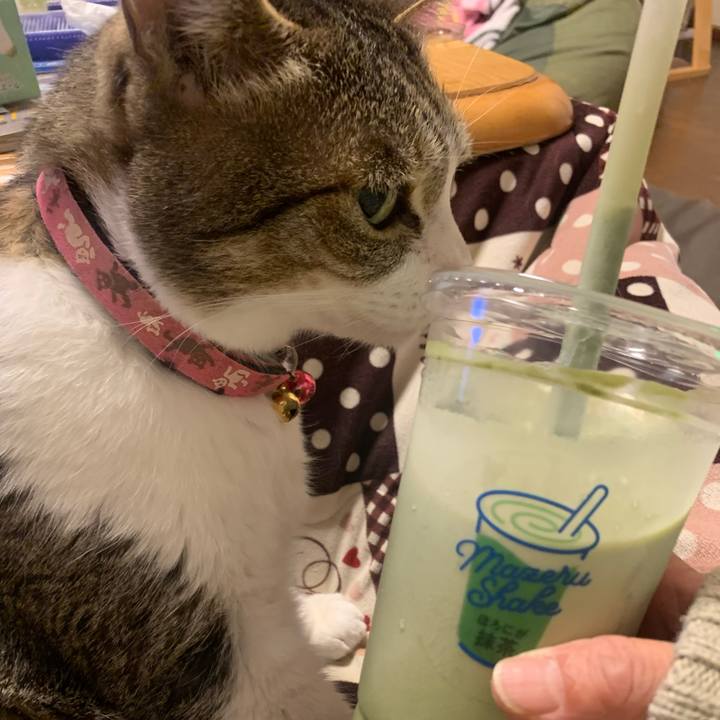 317c83bb 3fb4 4be8 a205 32b0594c49d9 1676864833512