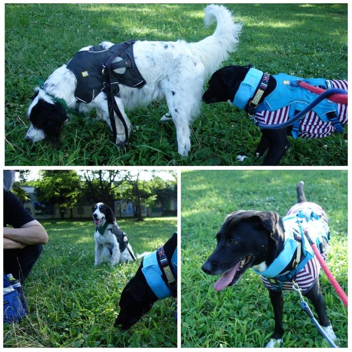 317c8510 acac 4b0d a309 331f00f93ca6 1627428507931