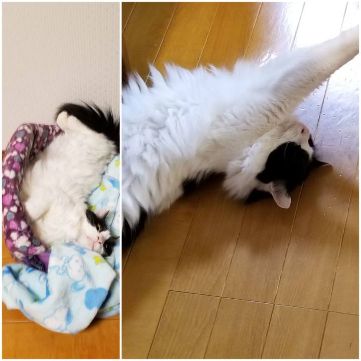 317c85c5 db1f 4d7a 91e5 ac0c0b95635c 1559261105711