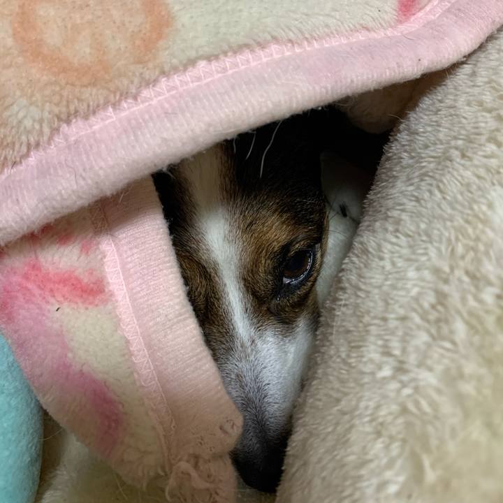 317c932c 8d7f 4f31 a30d 0029a04f6b43 1583145373536