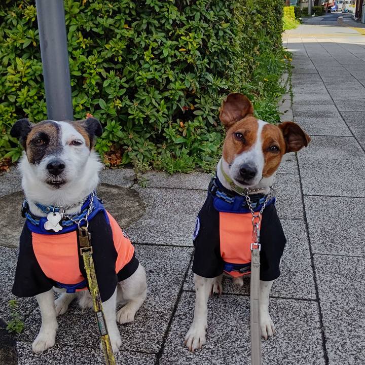 317ca31d f2d3 4391 a647 2b5658aa7b19 1616975773917