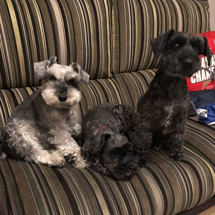 317ce404 b2f3 4d97 a216 cca7be674610 1558351759711