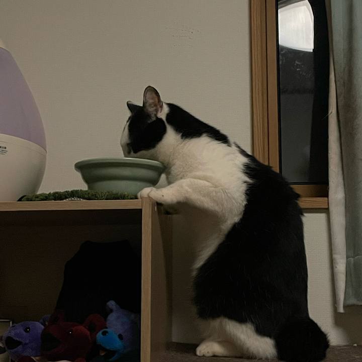 317ce427 190d 49b0 a4b9 fc4b2e48b1ae 1715166949369