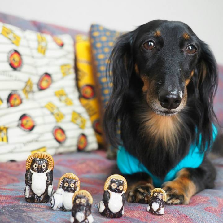 317cffa7 0930 4318 8776 490614a0f8d3 1570067561712