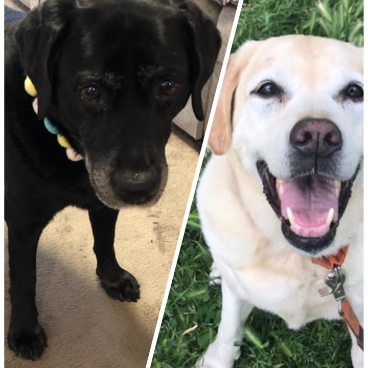 317d5192 f4ef 4604 8c0e a19d6cb26b97 1585695140191