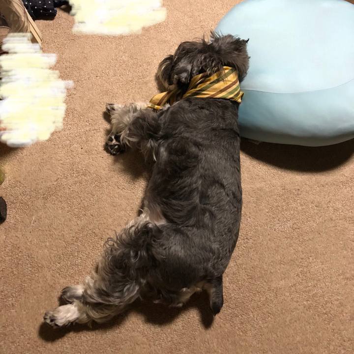 317d5b32 3af2 468f 9607 577b5879b919 1630221032451