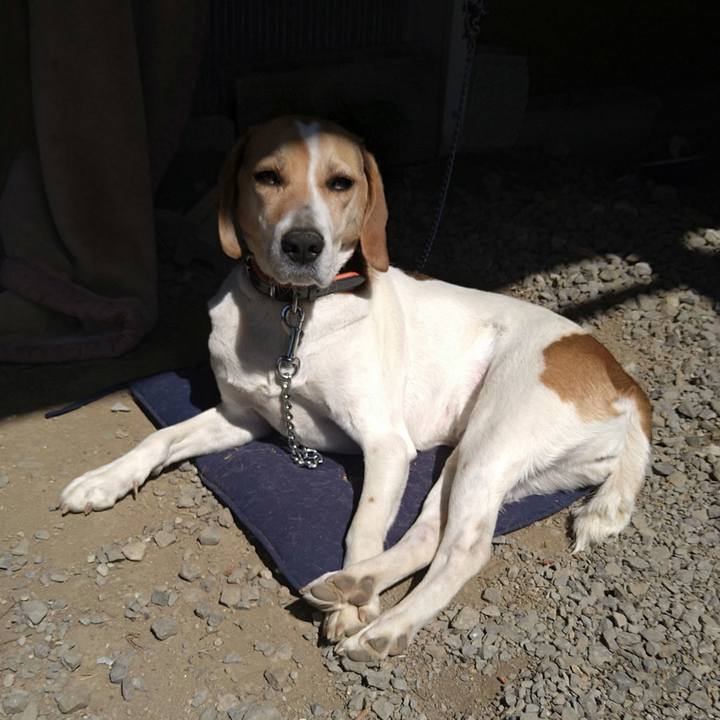 317d990d 4fd6 4b8a b4b6 dce1a08d3188 1618824375715