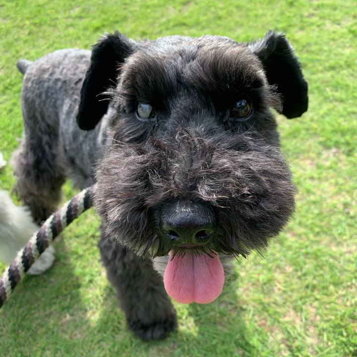 317db5b1 b382 4866 bde9 d2ff678e128c 1623485079706