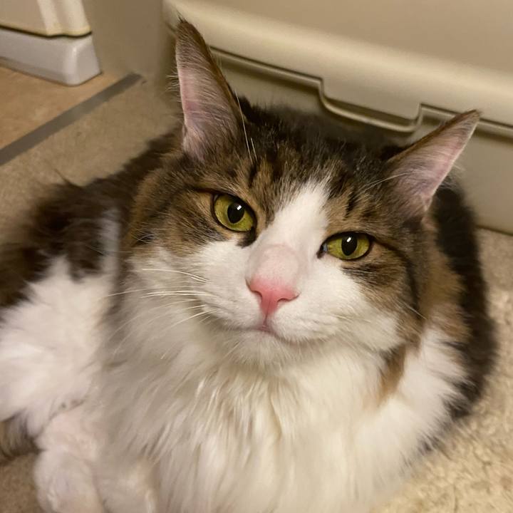 317dc38c 67ee 4800 a387 4bbbd22cc3ca 1671319523534