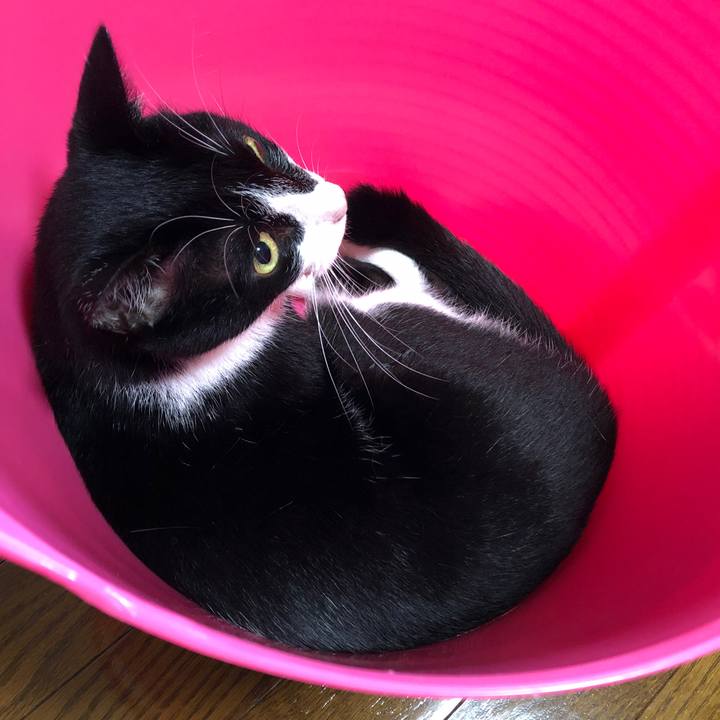 317df80a 204a 4b87 92f5 32d2e88a8e62 1534031516101