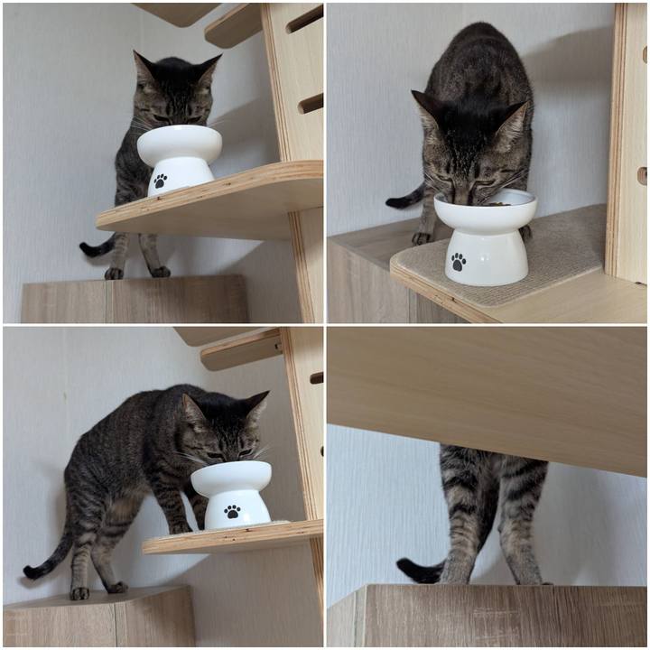 317dfa20 292f 44f4 a989 2fd414159dfb 1739681964801