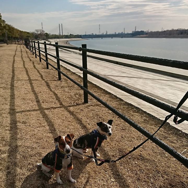 317e2393 a097 4e76 9294 bcf10c5b3581 1549180915119