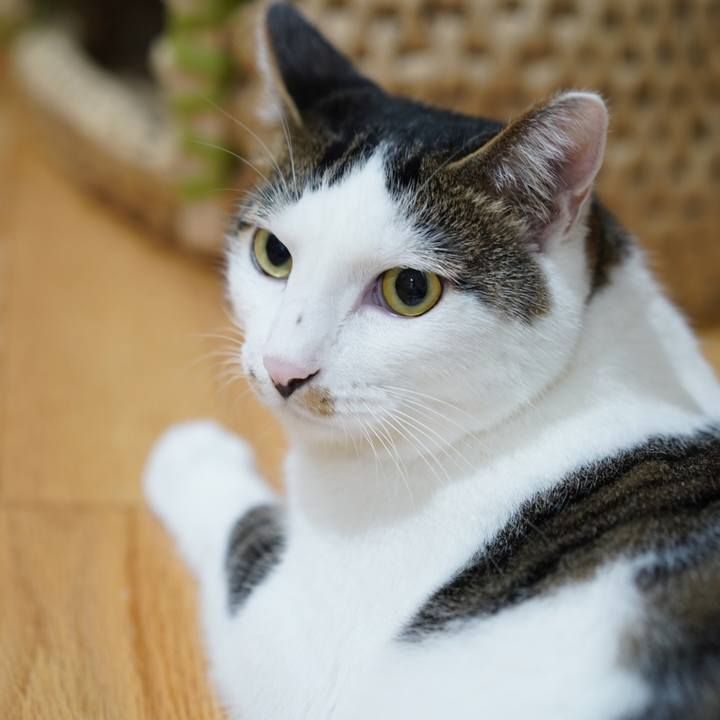 317e4e85 7998 4209 81c0 7d84c62e9d66 1567553235226