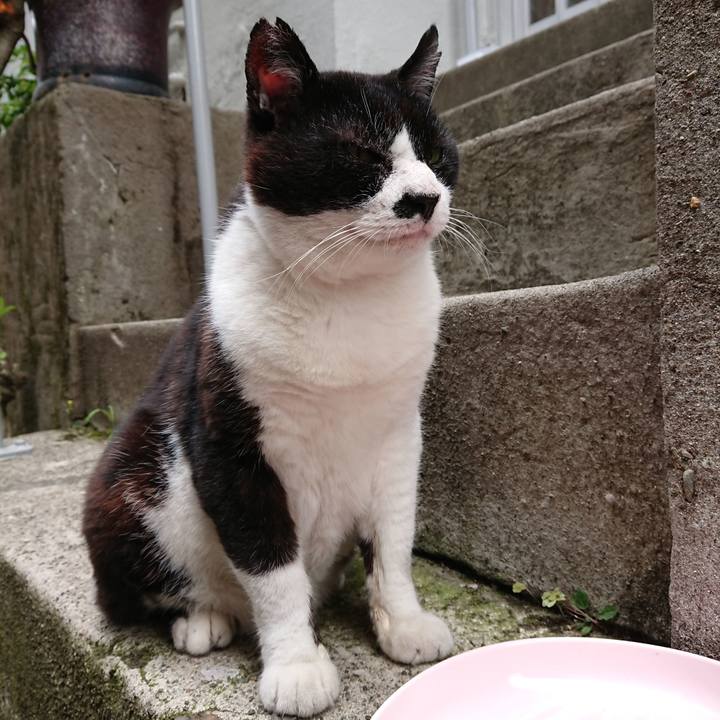 317ed92d dc6f 4477 bfe0 b82ae11af8c3 1657352349817