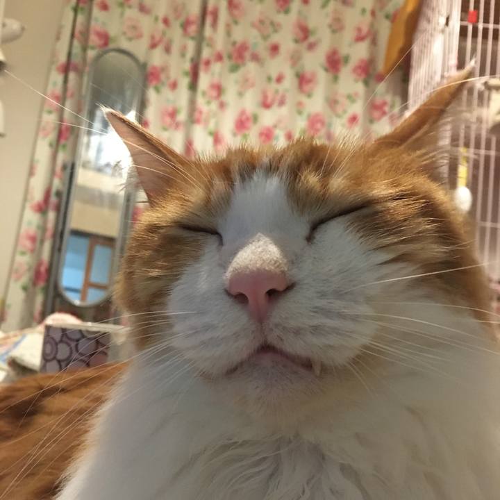 317eec67 7366 4f33 91fe fd8bb96f3230 1575037917453