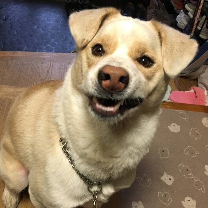 317f13af 3adb 490b 875b 5b831fc8244d 1516143495467