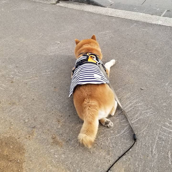 317f3dee fe21 4ee9 9aa4 7212dcd44836 1616829509877