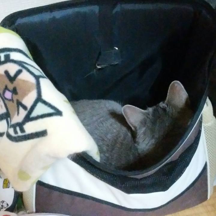 317f7ef8 2fd9 4ba7 a792 42461e7f8117 1560607336037