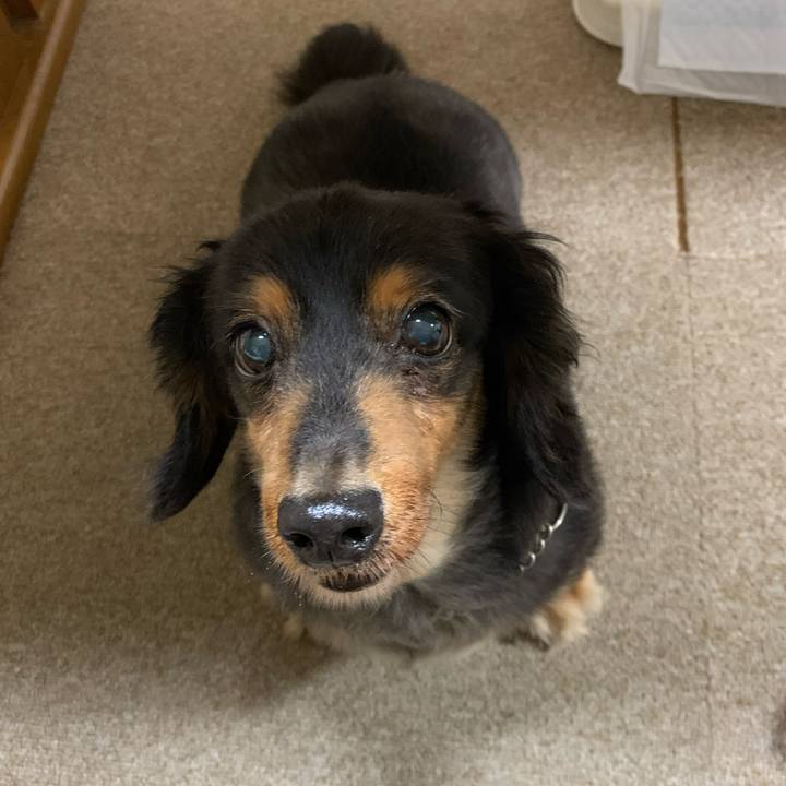 317f9a9c dafc 49b1 a78c c08cf00380ff 1595282098192