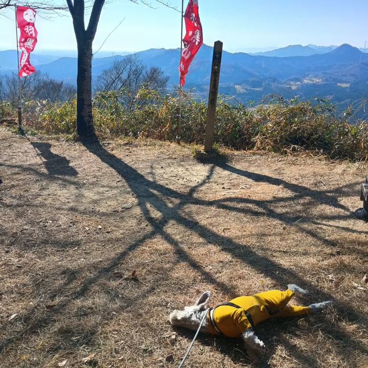 317fb1cd 12de 467d 9304 070d3d8e2593 1765185214885