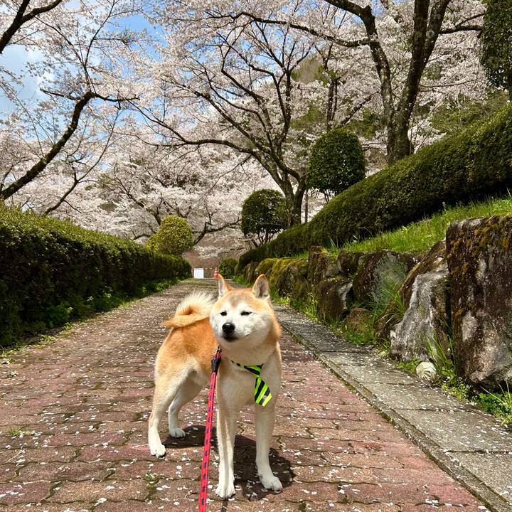 317fb5ac 6049 45b0 aa79 cf08155e79cf 1744717681793