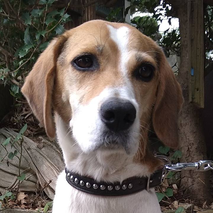 317fbc89 6c82 485b 9e2c 99e5c88fea76 1645117863326