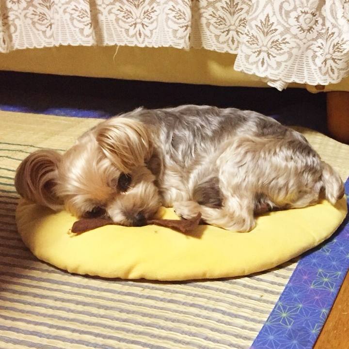 317fc8a1 389d 479f b96b 70d3706a150a 1536332070475