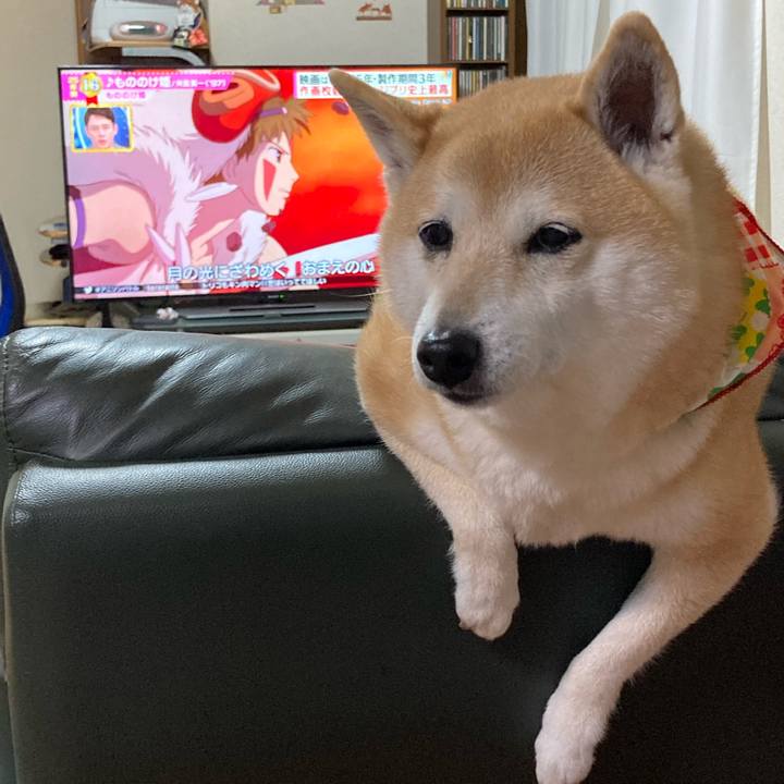 317fd9d5 9a61 470d 9706 ffa357f36eaa 1616671786477