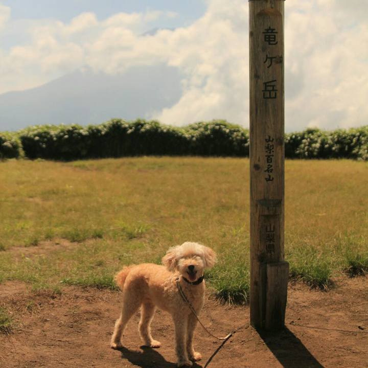 31802dfc b587 46d4 b413 d78641037fa9 1630293141914