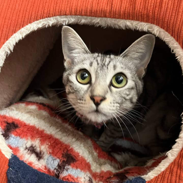 31802e81 5180 42a7 8876 8a57d5f31d79 1729423008606