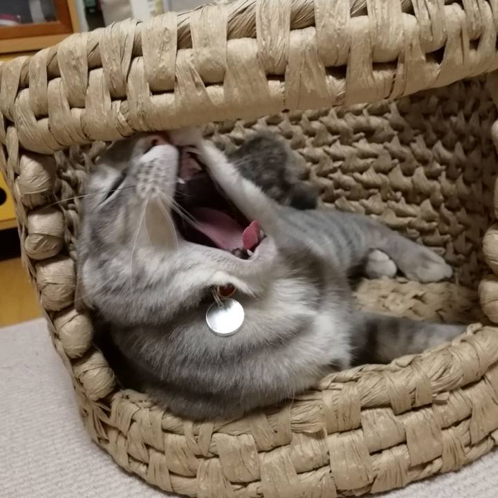 318079c1 2e87 4b1a af23 44856eb6548b 1524571594916