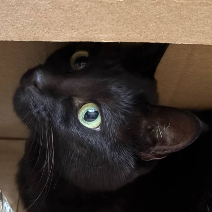 31808507 bd01 4e98 b6cb aa511edaf318 1760779492356