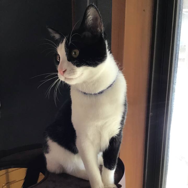 3180a16b 3e6f 4683 be3a 77691254ebb1 1638417491982