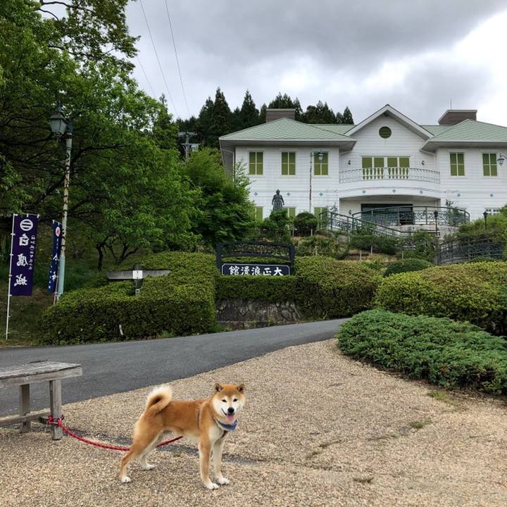 3180d5db 78b1 4eb2 ad11 68fc83a25ff7 1558435608049