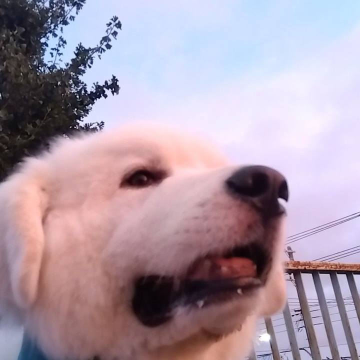 31810443 11c9 4eda aac5 bc56985d9dc6 1694394371629