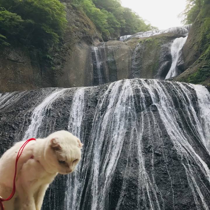 318113a9 491b 4707 ad3b f89d24cf2381 1565746743365