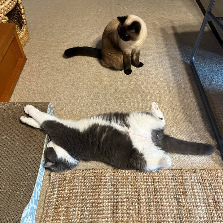 318128de 1ae4 42da 9e5e c30d7dfb8cf2 1653953887613