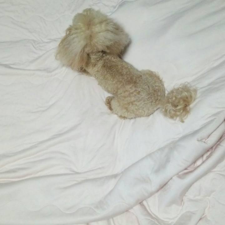 318149bd ef30 4d35 97d9 6d506e600071 1561555848329