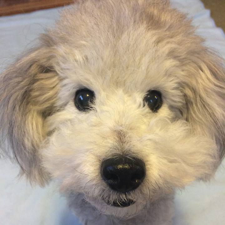 3181606d b749 4516 816a 258beea58591 1511998786473