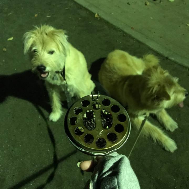 31816182 4049 4b5b 8a2f 0224ad8e2a4a 1533043450924