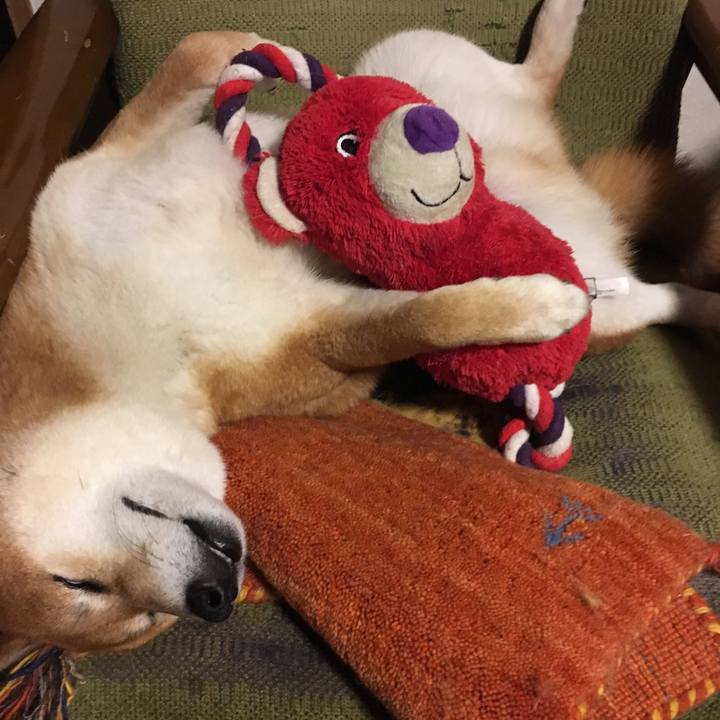 3181be20 b11c 4858 a718 86f896e36060 1560641412166