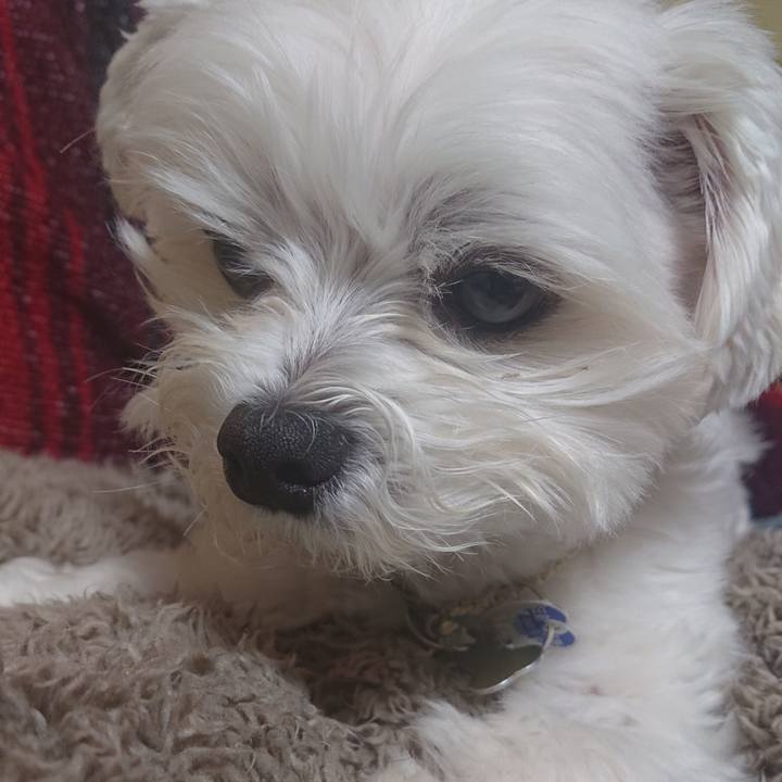 3181de37 104f 4adc 95b5 67c5892e8d05 1541681575075