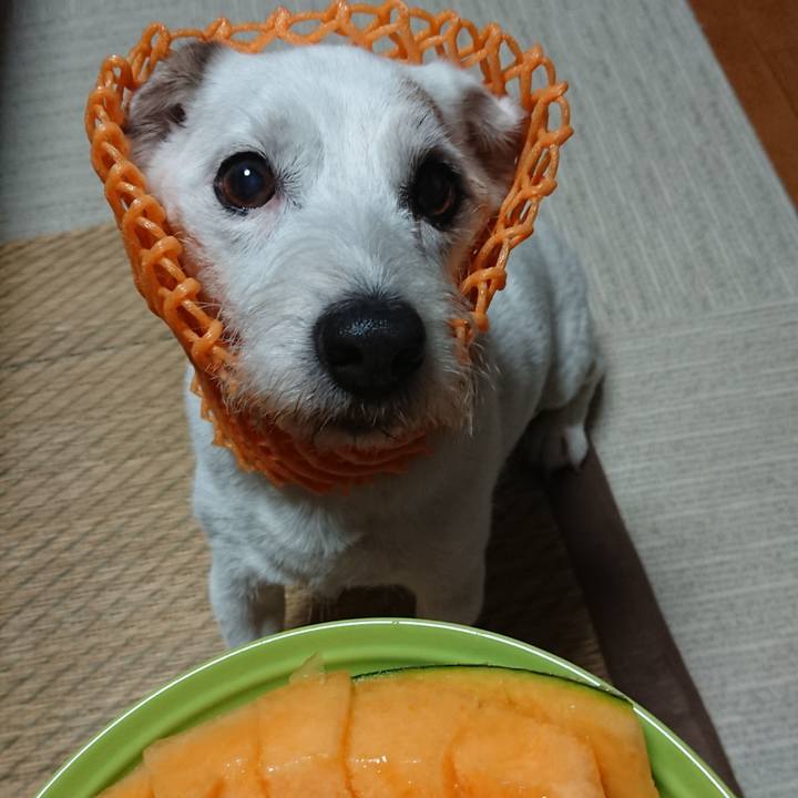 31826df0 1260 403f 96e0 0bed8fcfc73b 1588892825153