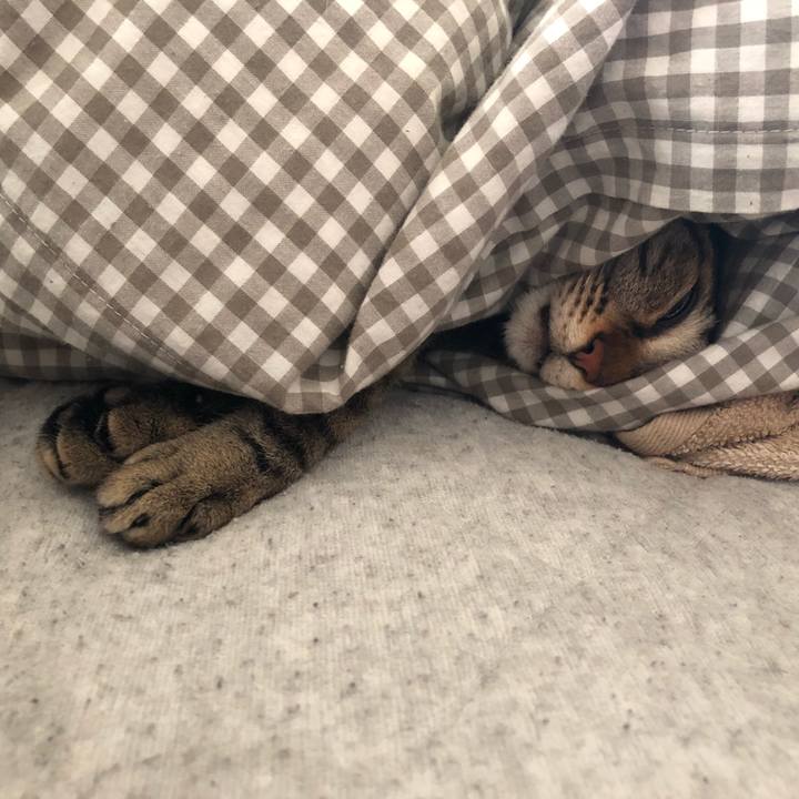 31827ab4 9b07 4a41 a615 ec8f5f5274b9 1554665318415