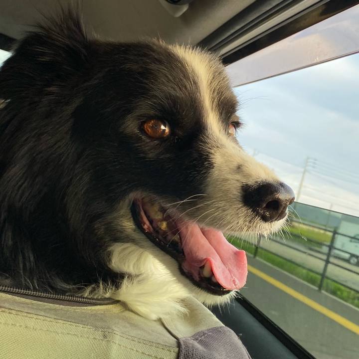 3182b559 8d6f 417e a27d be5617e6ff12 1725705478735